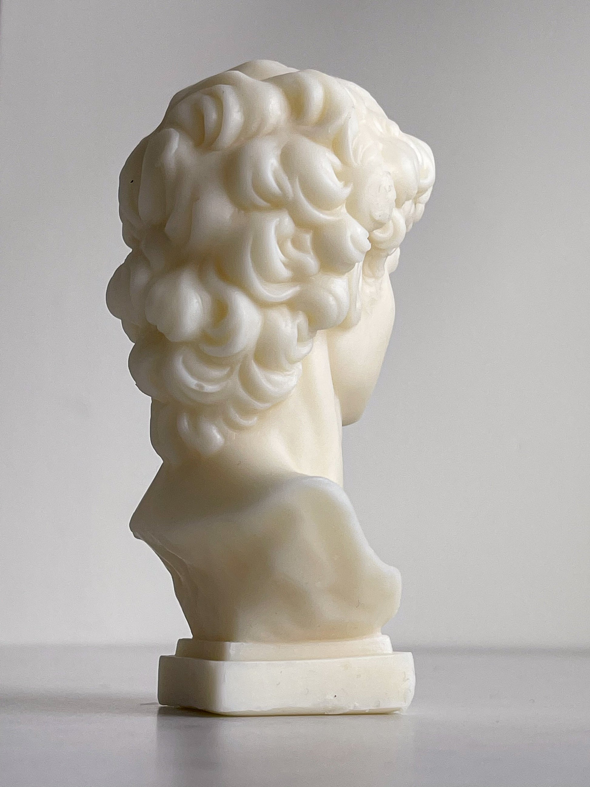Michelangelo's David