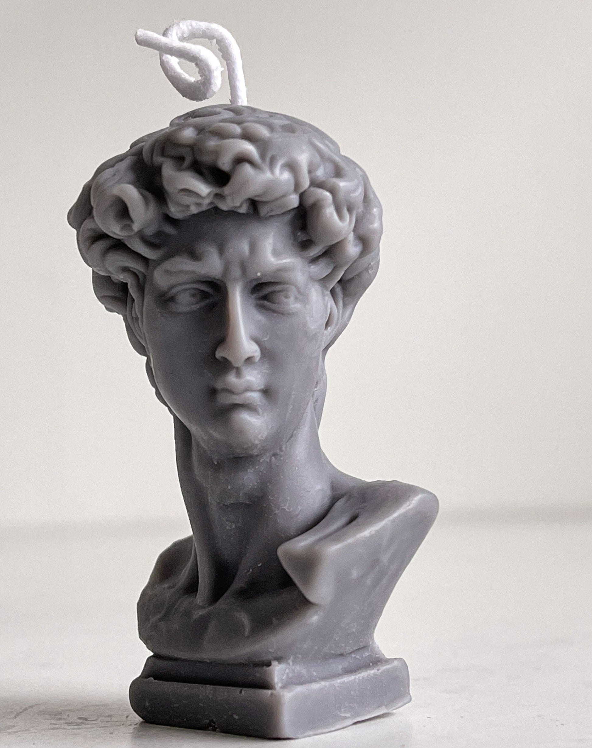 Michelangelo's David - Petit