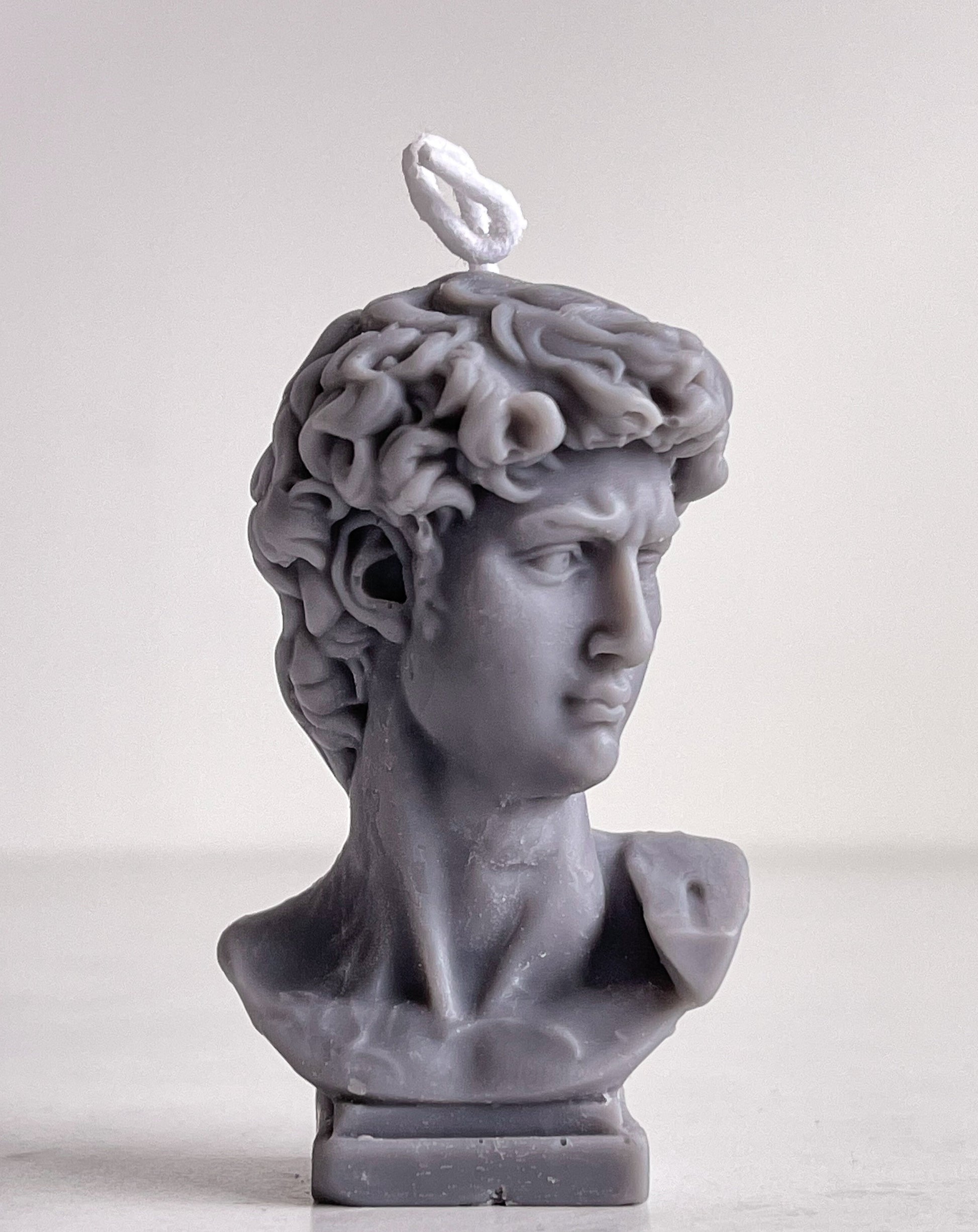 Michelangelo's David - Petit