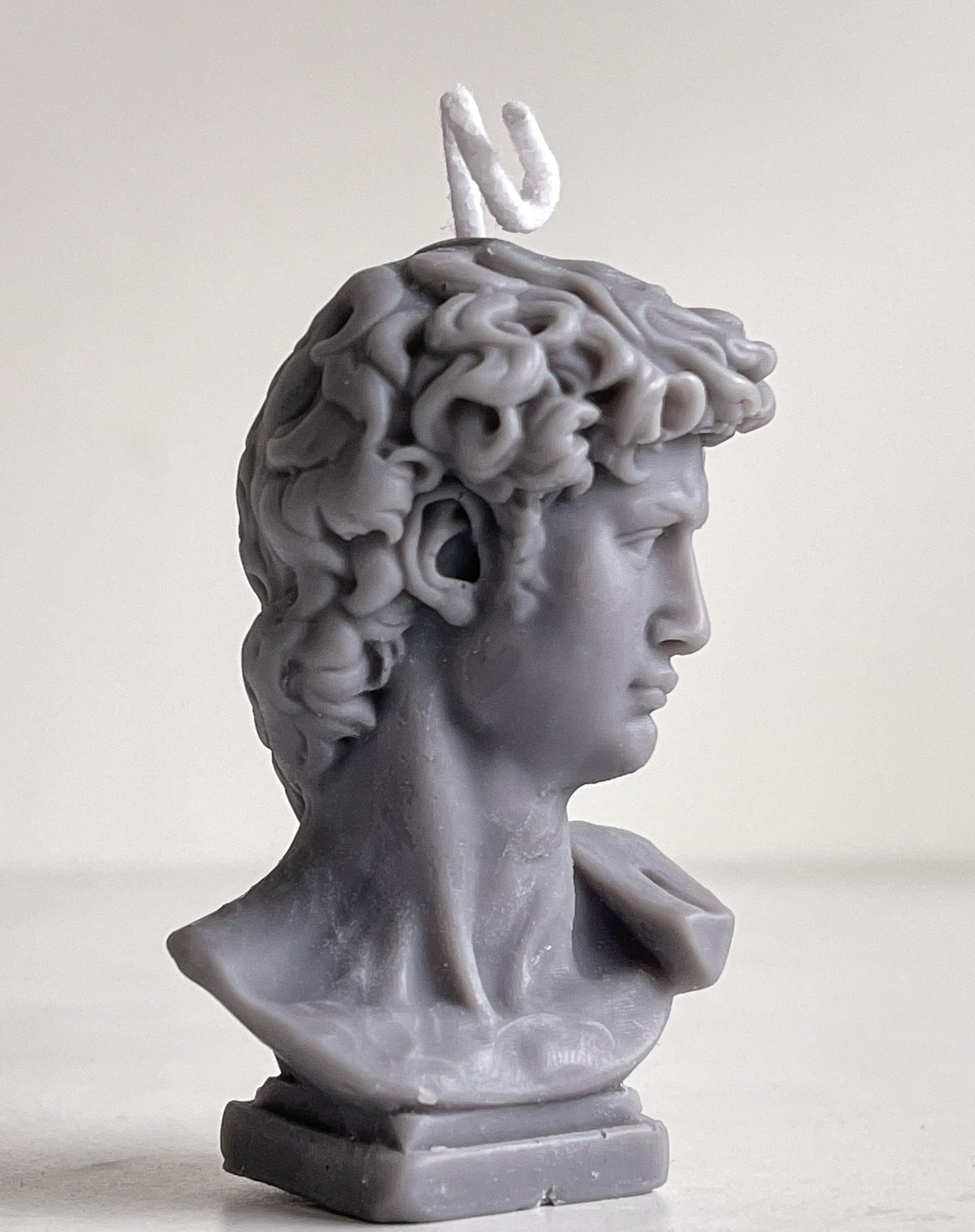 Michelangelo's David - Petit