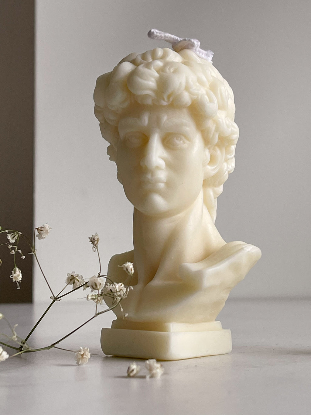 Michelangelo's David