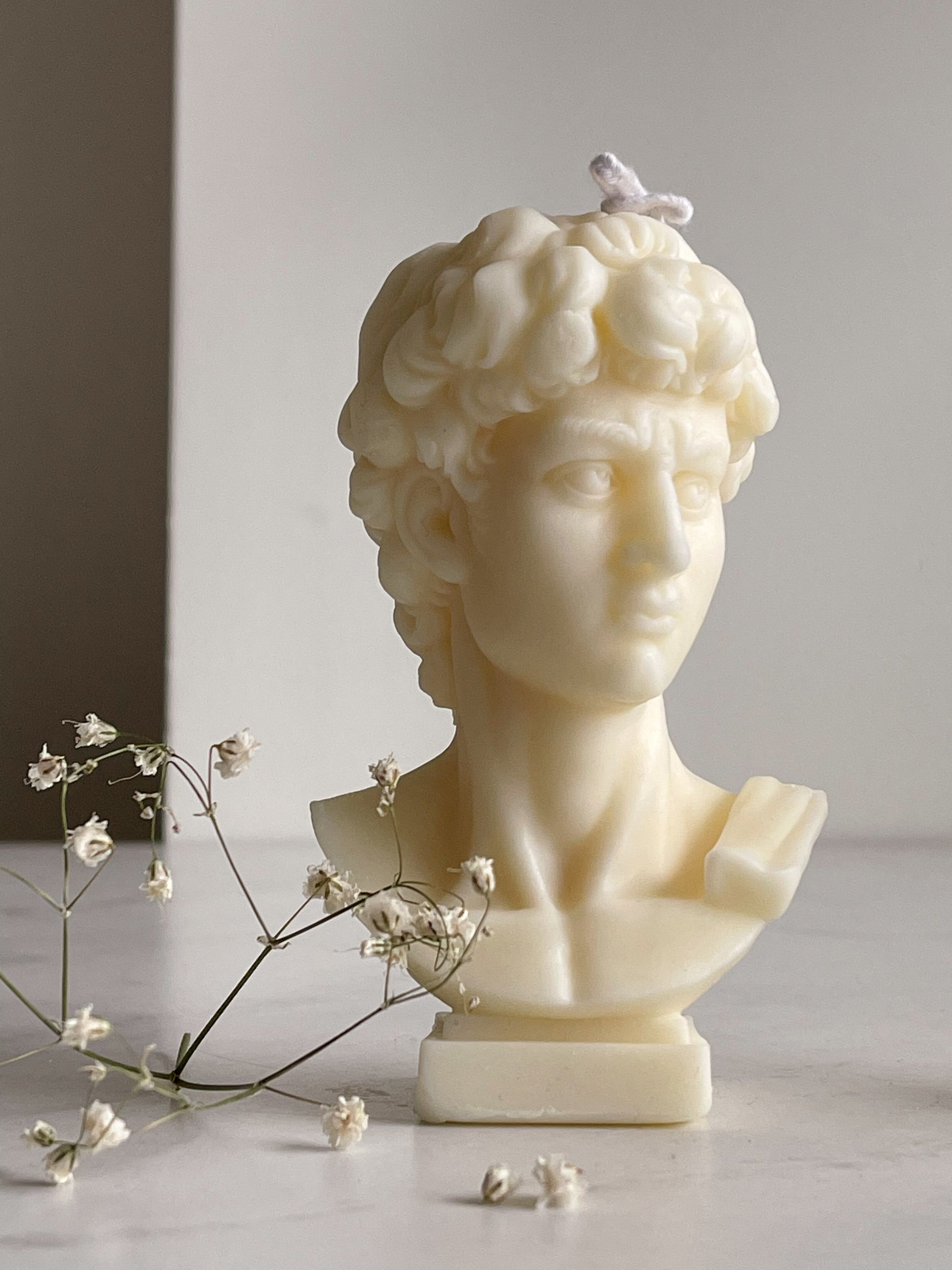 Michelangelo's David